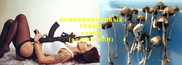 бошки Нефтегорск