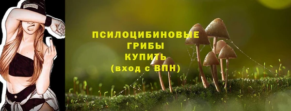 бошки Нефтегорск