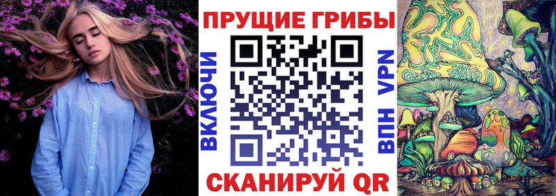 купить закладку  Урюпинск  Галлюциногенные грибы прущие грибы 