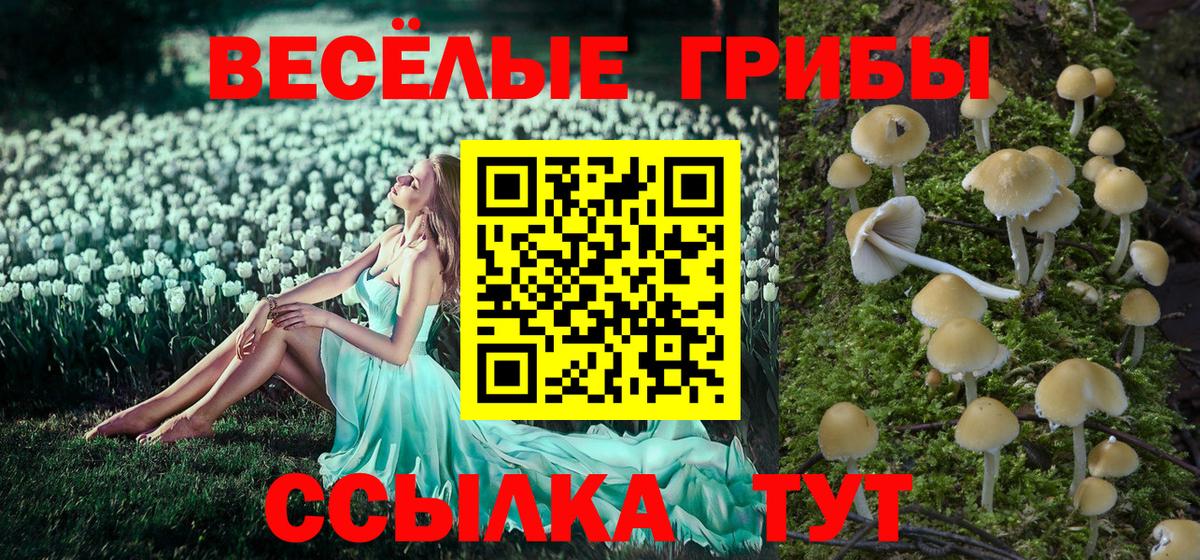как найти закладки  Псилоцибиновые грибы Psilocybe  Галлюциногенные грибы прущие грибы  Вход с VPN  Урюпинск 